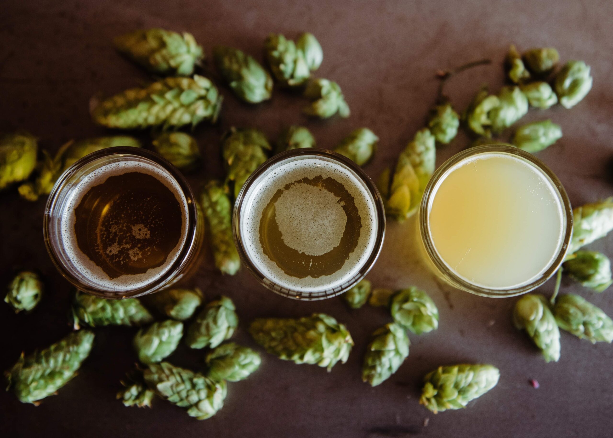 Navegantes sedia Encontro de Cervejeiros Artesanais neste domingo (16)