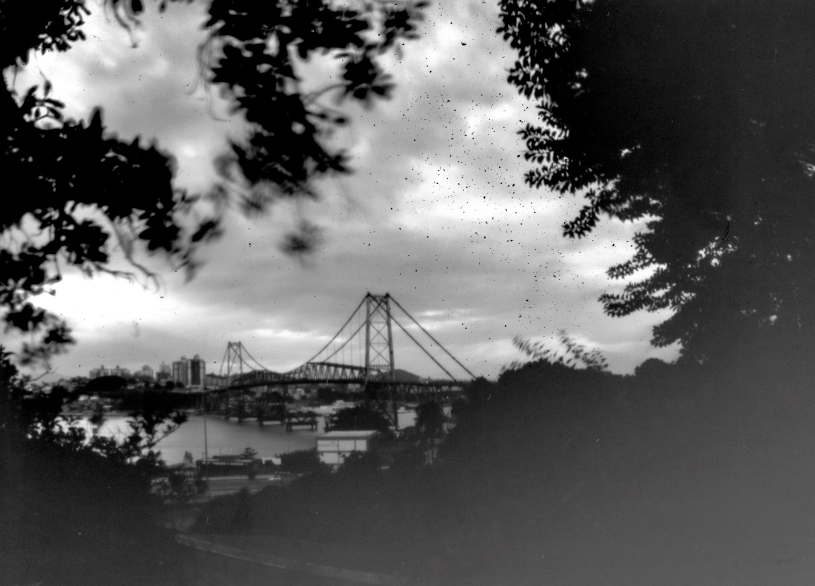 Fotógrafos podem se inscrever em mostra que celebra o centenário da ponte Hercílio Luz em Florianópolis