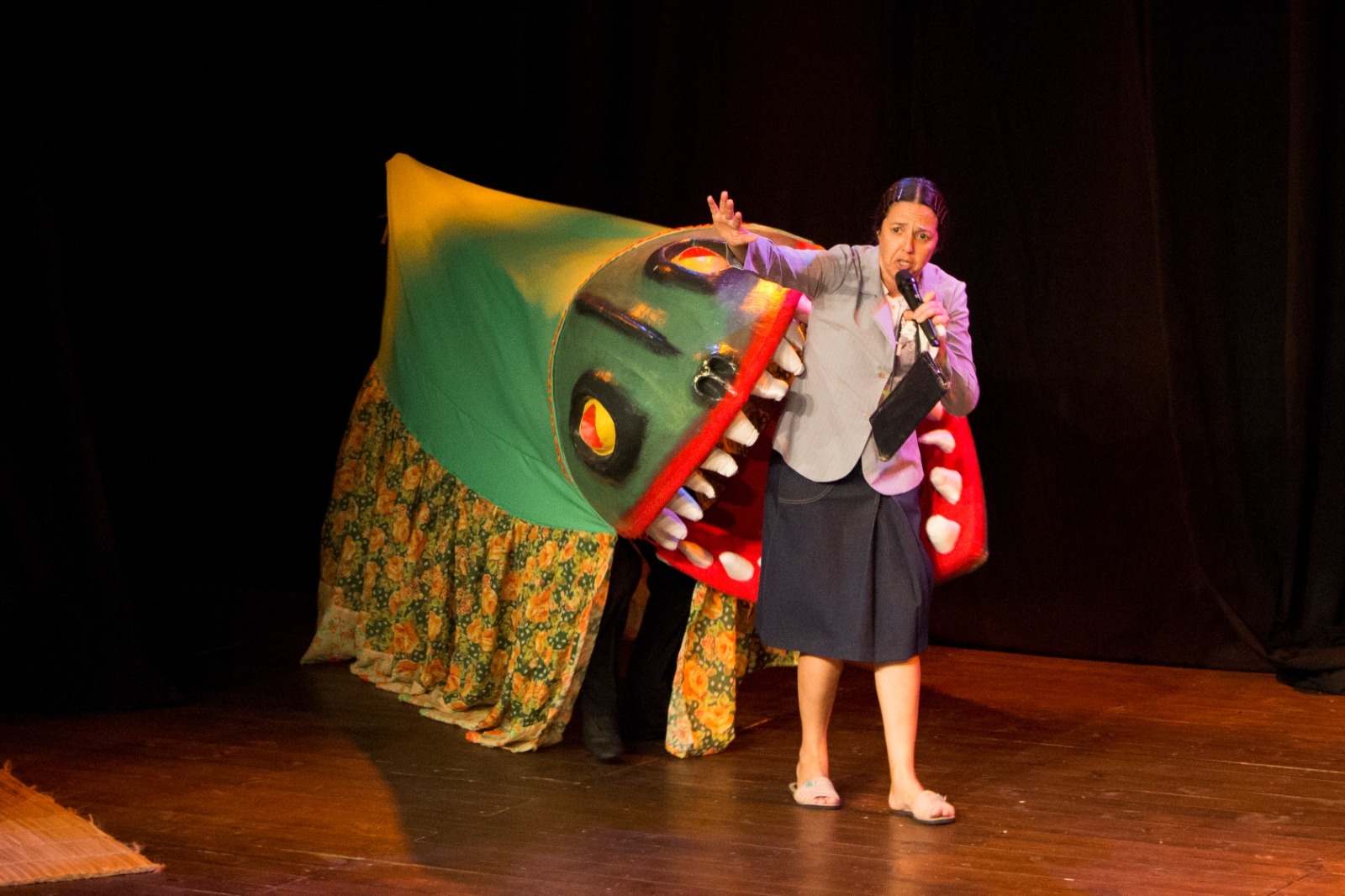 Artista catarinense leva humor e cultura popular a Navegantes com três espetáculos gratuitos