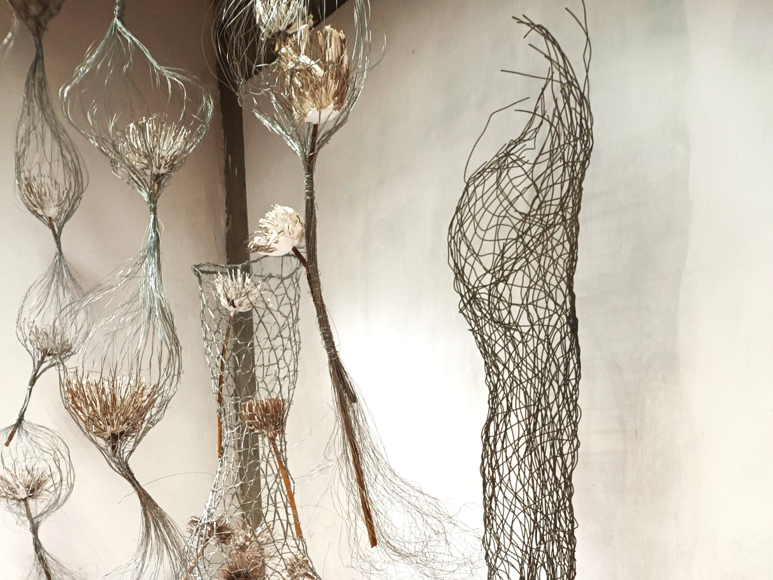 Exposição de arte: Clara Fernandes apresenta “O Jardim também sonha” em Florianópolis