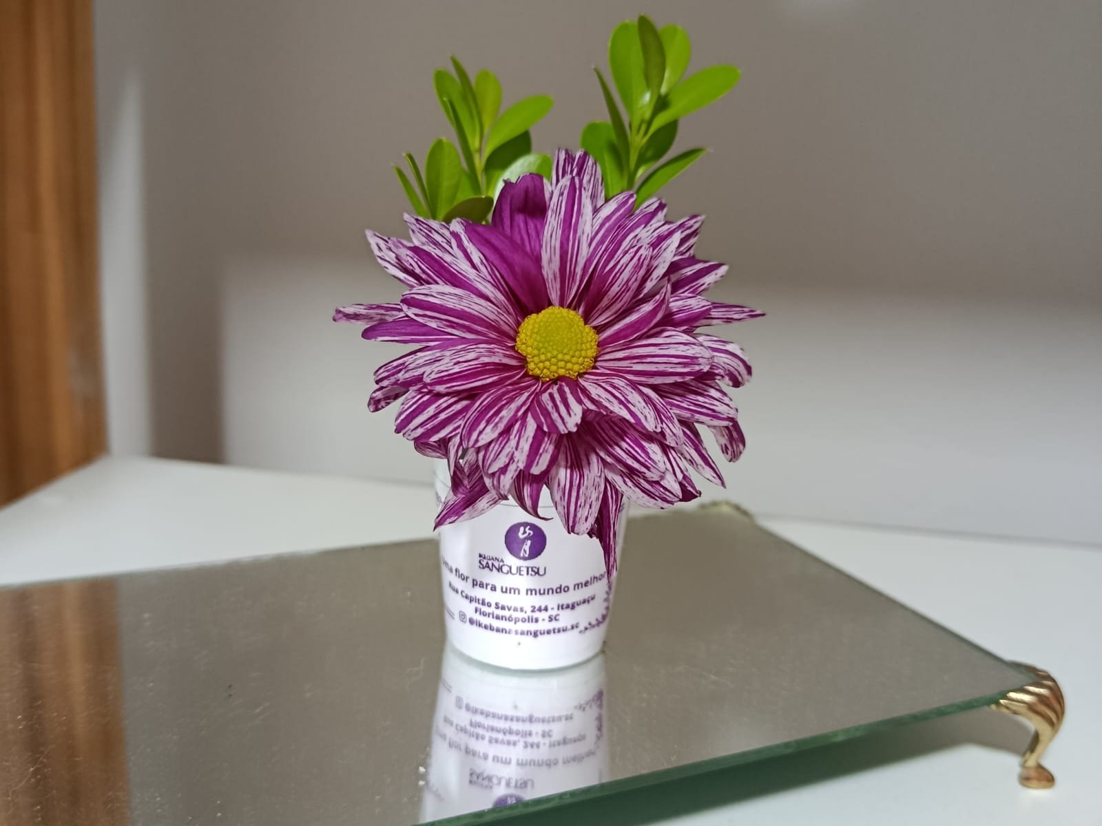 Florianópolis recebe oficina gratuita de mini arranjos florais neste sábado (19)